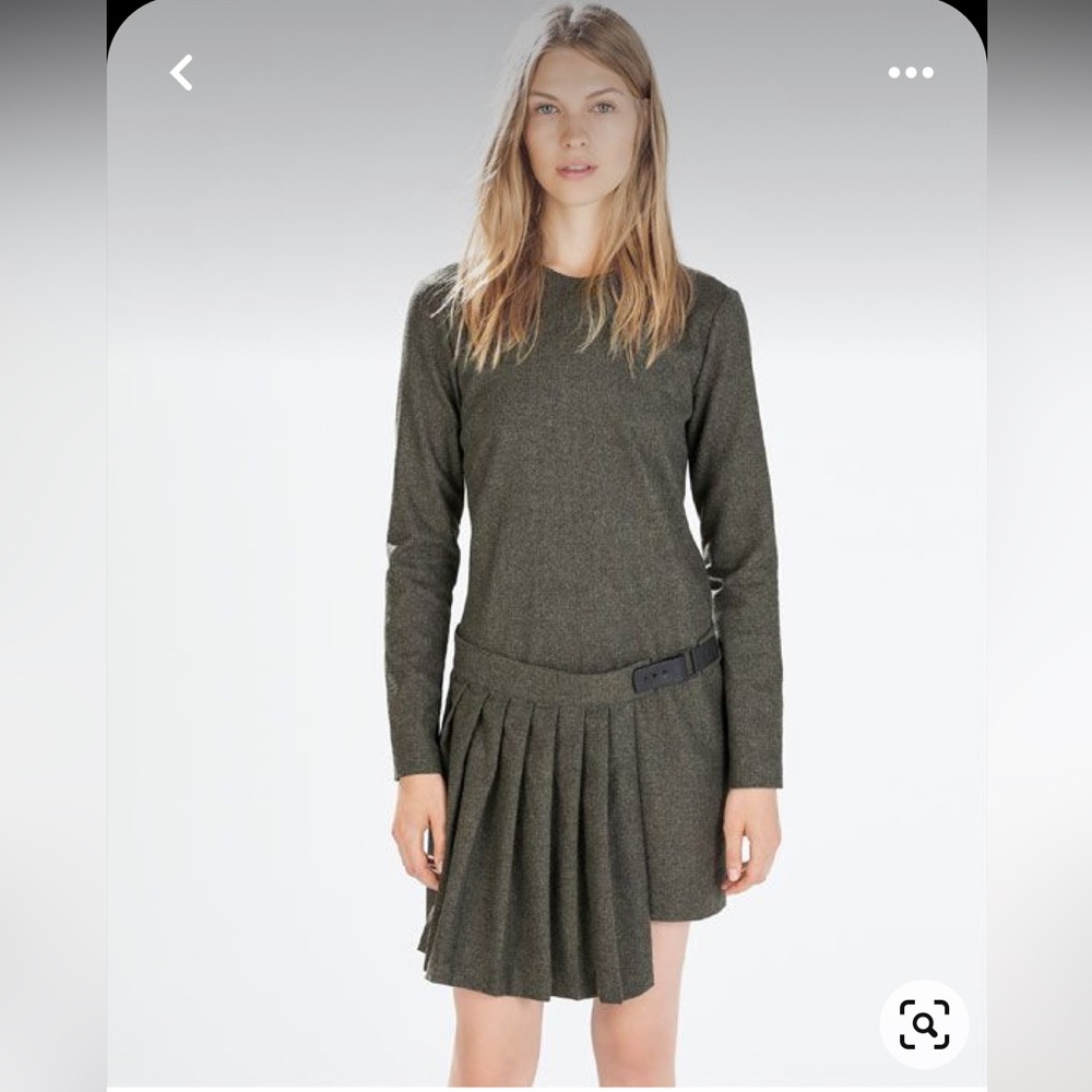 Zara dress